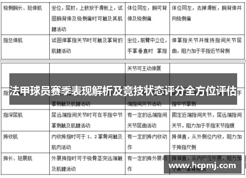法甲球员赛季表现解析及竞技状态评分全方位评估