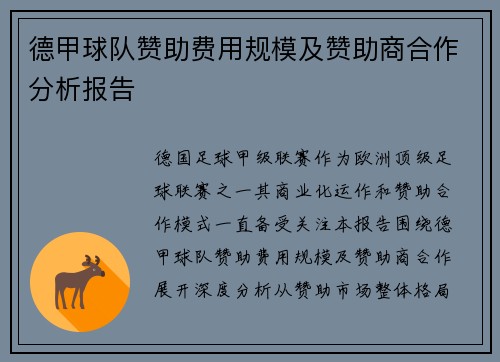 德甲球队赞助费用规模及赞助商合作分析报告